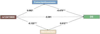 Personality traits as mediators in the association between SIRT1 rs12415800 polymorphism and depressive symptoms among Chinese college students